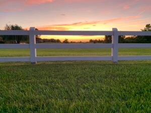 Read more about the article Residential Fence: 5 Amazing Designs To Try