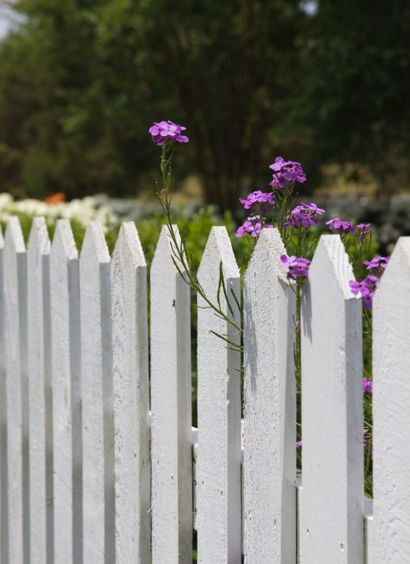Best fence installation service in buffalo Best fence installation service in buffalo